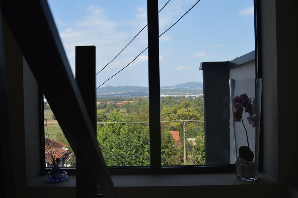 Guest House Vila Salute นิส ภายนอก รูปภาพ