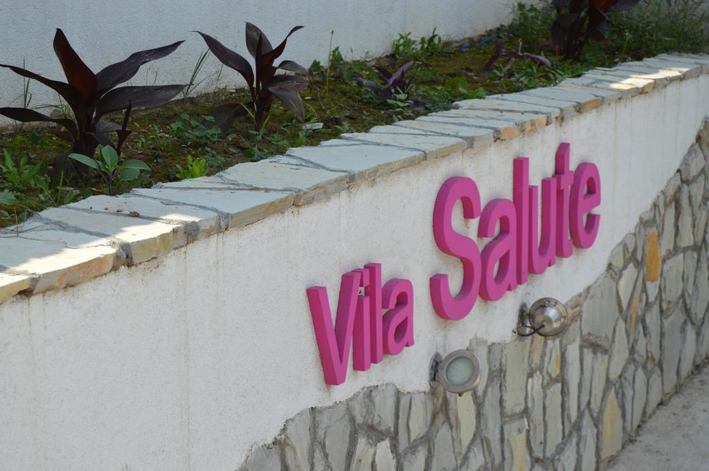 Guest House Vila Salute นิส ภายนอก รูปภาพ